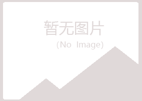 兴海县曼山造纸有限公司